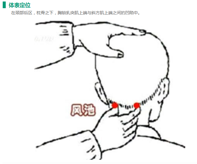 風池穴